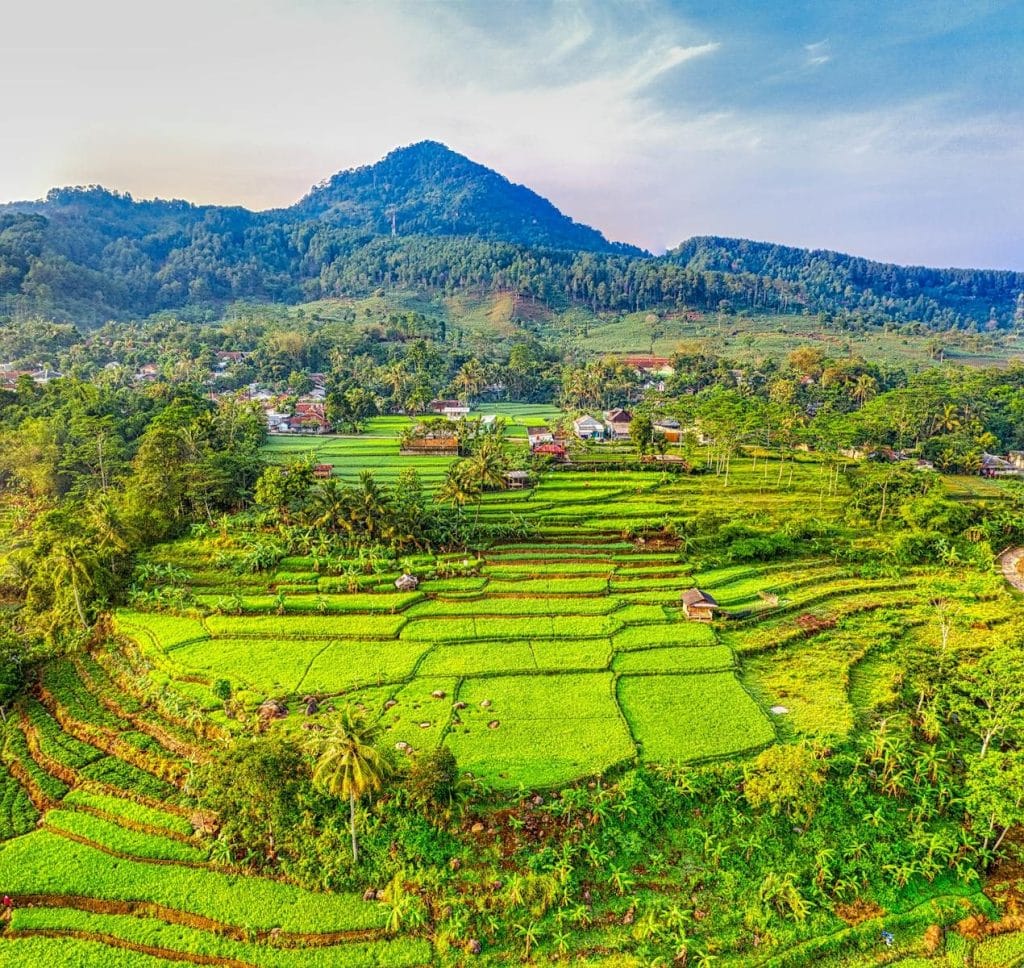 Lush green rice terraces stretch across the rural landscape under a vibrant sky in West Java, Indonesia.