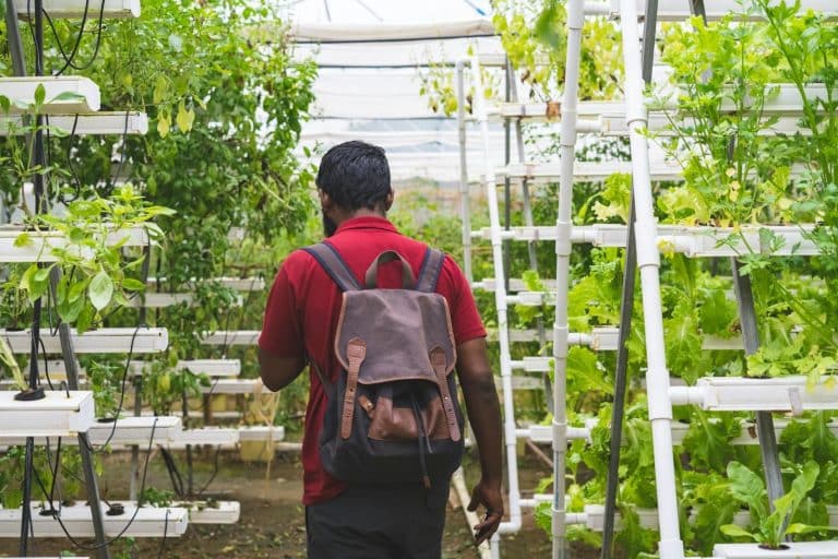 A man with a backpack in a lush greenhouse practicing vertical gardening.